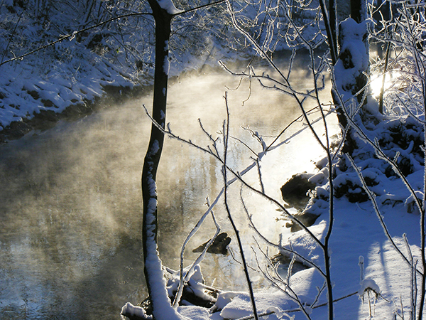 Winterstarre